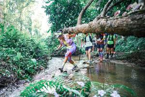 BIB: 
                            <button type="button" onclick="openModal(25464201)" class="btn btn-primary btn-sm float-right btn-popup" data-toggle="modal" data-target=".modal-high-quality">
                        <i class="fas fa-shopping-cart"></i> Add to Cart
                    </button>
                                            <button type="button" onclick="isThisMe(25464201, true)" class="btn btn-success btn-sm float-right btn-popup btn-isme hidden" data-toggle="tooltip" data-placement="bottom" title="นี่คือรูปของคุณใช่ไหม คลิกที่นี่เพื่อเอาเข้าอัลบั้ม">
                        <i class="fas fa-plus"></i> Add to album
                    </button>
                    <button type="button" onclick="isThisMe(25464201, false)" class="btn btn-warning btn-sm float-right btn-popup btn-isnotme hidden">
                        <i class="fas fa-ban"></i> Remove from album
                    </button>